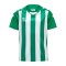 Hummel hmlCore XK Striped Trikot Kids Grün F6129 - gruen