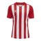 Hummel hmlCORE XK Striped Trikot Rot Weiss F3946 - rot