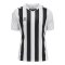 Hummel hmlCORE XK Striped Trikot Weiss F9124 - weiss