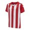 Hummel hmlCORE XK Stripped Trikot Kids F3946 - rot
