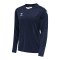 Hummel hmlCORE XK Trikot langarm Blau F7026 - blau