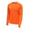 Hummel hmlCORE XK Trikot langarm Orange F5190 - orange