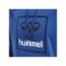 Hummel hmlISAM 2.0 Hoody Blau F7045 - blau