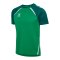 Hummel Trikot Grün F6327 - gruen