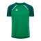 Hummel Trikot Grün F6327 - gruen