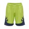 Hummel hmlLEAD Poly Short F6242 - gruen