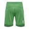 Hummel hmlLEAD Poly Short Rot F6235 - gruen