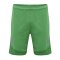 Hummel hmlLEAD Poly Short Rot F6235 - gruen