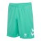 Hummel hmlLOGO Training Set Grün F6507 - gruen