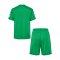 Hummel hmlLOGO Training Set Kids Grün F6235 - gruen