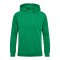 Hummel hmlRED Classic Hoody Grün F6235 - gruen