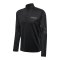 Hummel hmlTE STRENGTH HalfZip Sweatshirt Schwarz F2001 - schwarz