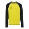Hummel Lead 2.0 Crew Sweatshirt Kids Gelb F5800 - gelb