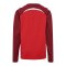 Hummel Lead 2.0 Crew Sweatshirt Kids Rot F3713 - rot