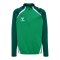 Hummel Sweatshirt Kids Grün F6327 - gruen