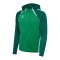 Hummel Kapuzenjacke Grün F6327 - gruen