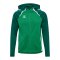 Hummel Kapuzenjacke Grün F6327 - gruen