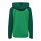 Hummel Lead 2.0 Kapuzenjacke Kids Grün F6327 - gruen