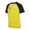 Hummel Trikot Kids Gelb F5800 - gelb