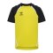 Hummel Trikot Kids Gelb F5800 - gelb
