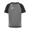 Hummel Trikot Kids Grau F1268 - grau