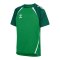 Hummel Trikot Kids Grün F6327 - gruen