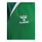 Hummel Trikot Kids Grün F6327 - gruen