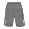 Hummel Lead 2.0 Woven Short Grau F2350 - grau
