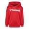 Hummel Logo Hoody Kids Rot F3062 - rot
