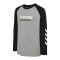 Hummel Logo L/S T-Shirt Kids Grau F2006 - grau
