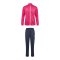Hummel Logo Trainingsanzug Kids Lila F3763 - lila