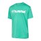 Hummel Logo Trikot Kids Grün F6507 - gruen