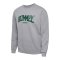 Hummel Loose University Bee Sweatshirt Grau F2006 - grau