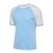 Hummel Match League Trikot Blau F7473 - blau