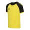 Hummel Match League Trikot Kids Gelb F5800 - gelb