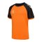 Hummel Match League Trikot Kids Orange F5204 - orange