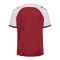 Hummel Match League Trikot Kids Rot F3035 - rot