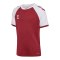 Hummel Match League Trikot Kids Rot F3035 - rot