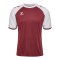 Hummel Match League Trikot Rot F3035 - rot