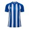 Hummel Match Striped Trikot Blau F7691 - blau