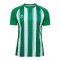 Hummel Match Striped Trikot Grün F6129 - gruen