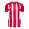 Hummel Match Striped Trikot Rot F3946 - rot