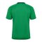 Hummel Match Triumph Trikot Grün F6439 - gruen