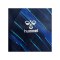 Hummel Match Triumph Trikot Kids Blau F7783 - blau