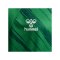 Hummel Match Triumph Trikot Kids Grün F6439 - gruen