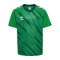 Hummel Match Triumph Trikot Kids Grün F6439 - gruen