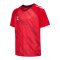 Hummel Match Triumph Trikot Kids Rot F3826 - rot