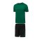 Hummel Promo Duo Trikotset kurzarm Kids Grün F6241 - gruen
