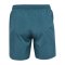 Hummel Pulse Workout Short Blau F7280 - blau