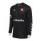 Hummel Torwarttrikot Schwarz F2001 - schwarz
